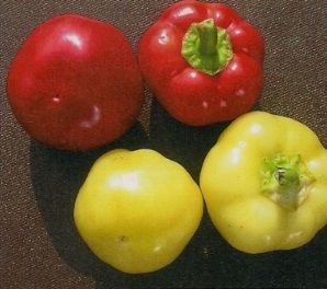 "Mustafa" Chili pepper seeds - 10 pcs.