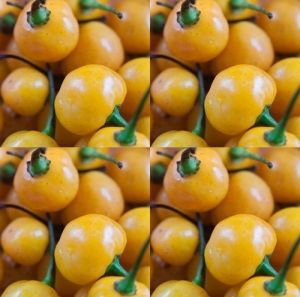 "Aji Charapita" Chili pepper seeds - 15 pcs.