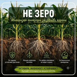 Ne-Zero (NE-ZERØ) – beneficial mushrooms Metarhizium anisopliae and Paecilomyces fumosoroseus (Isaria)