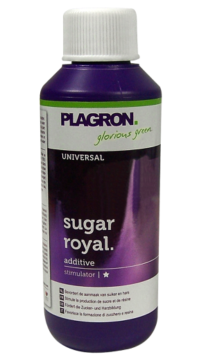 PLAGRON Sugar Royal 250мл. - аминокиселини