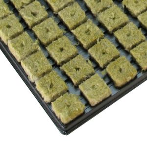 Grodan Tray 150 plugs