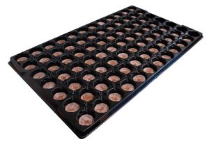 Jiffys 41mm  подложка 60 Cell Tray/for Jiffys-7