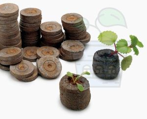 Jiffy-7 33mm. - Pressed peat pellets / plugs / washers - 100pcs.