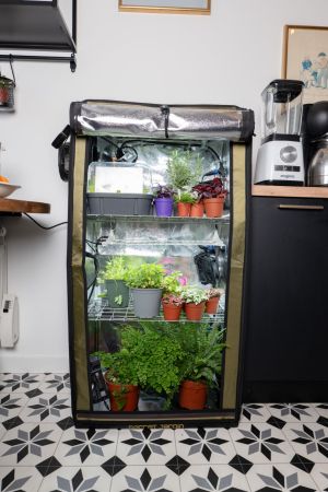 Sicret Jardin The Original 60
