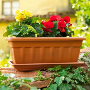 Rectangular flowerpot CASSIOPEA 60x20x16 Color ANTRACITE 12.5l.