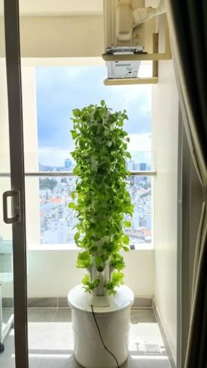 Vertical garden - Вертикална Хидропонна система 