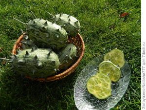 Семена  от Кивано / Африканска рогата краставица (KIWANO) - 15 броя
