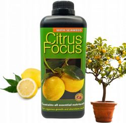 Citrus Focus Organic 1L