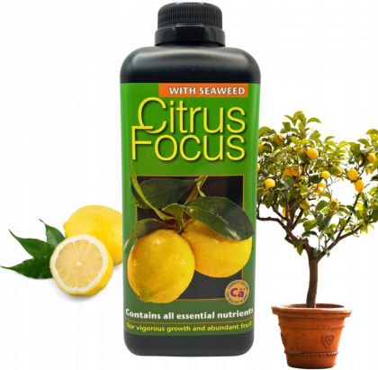 Citrus Focus Organic 1L