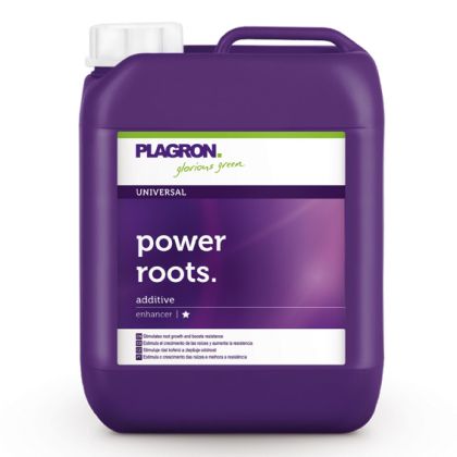 Power Roots 5л.
