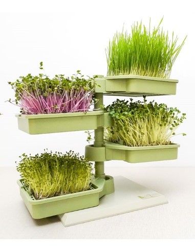 Babylon Garden hydroponicsystemfor homes,4 simultaneouscrops ofsprouts ormicrogreens smartapp + GIFT