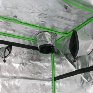 Dark Box Propagator 60 x 40 x 200 cm