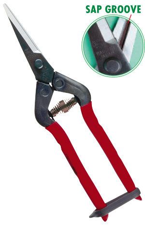 Professional scissors for picking fruits, vegetables and flowers, 190 mm - Chikamasa T-55C