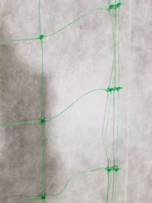 Зелена Опорна мрежа за растения и зеленчуци 1.50м x 500м (ролка)